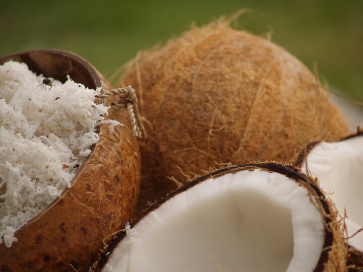 Coconut-Körperpackung